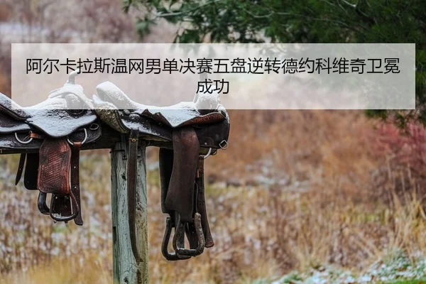a-er-ka-la-si-wen-wang-nan-dan-jue-sai-wu-pan-ni-zhuan-de-yue-ke-wei-qi-wei-mian-cheng-gong-2-686.jpg
