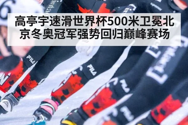 高亭宇速滑世界杯500米卫冕北京冬奥冠军强势回归巅峰赛场