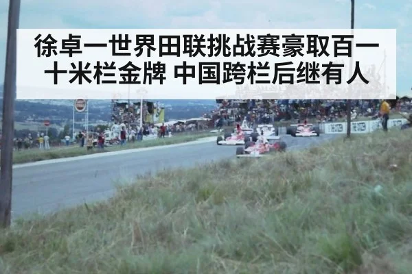 徐卓一世界田联挑战赛豪取百一十米栏金牌 中国跨栏后继有人